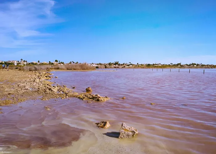 Marinasunbeach Canovas Playa 托雷维耶哈